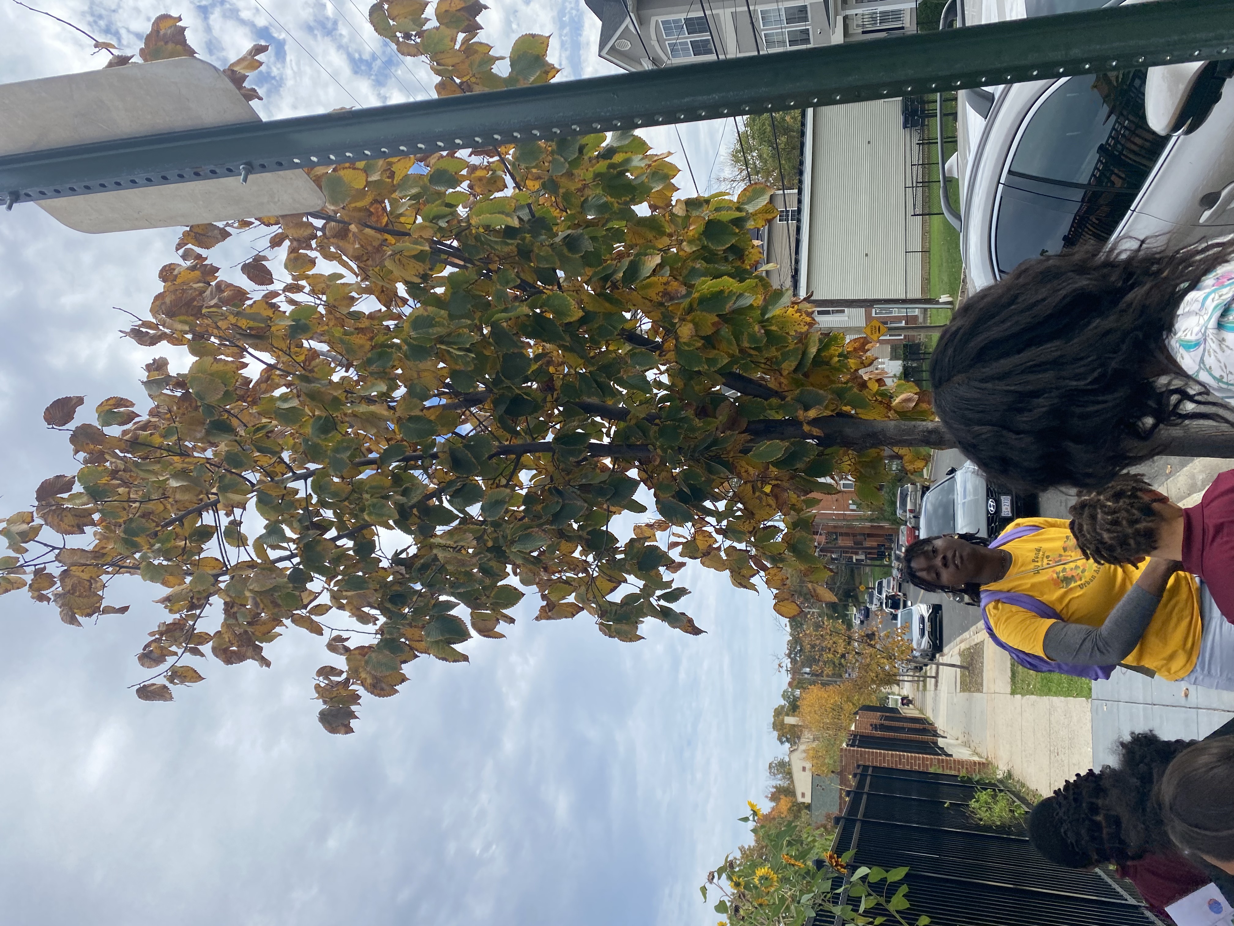 Students work on tree identification with a UAS educator